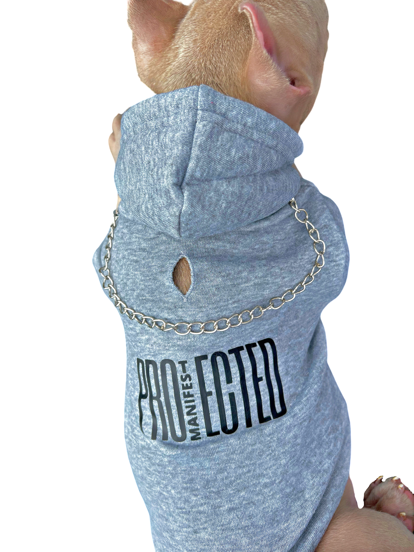 Protected Pawz Hoodie Gray